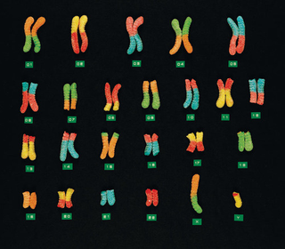 Illustration for article titled Photographs Show the Tasty Side of Math and Science